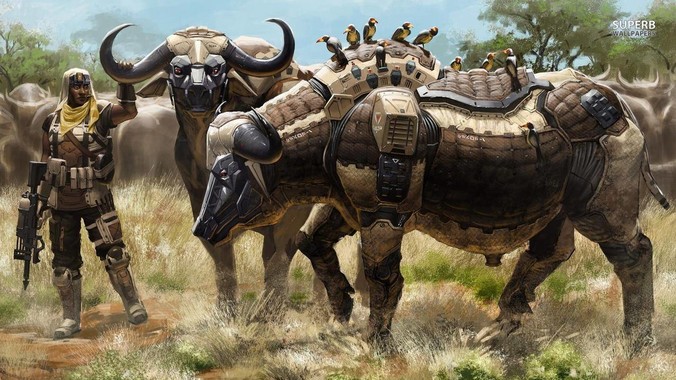 刚学前端的小白，想问问全站框架nextjs+shadcn+prisma为什么在国内不火呢？